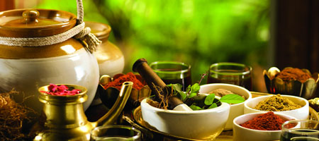 Ayurveda Treatments